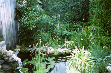 Guelph waterscape